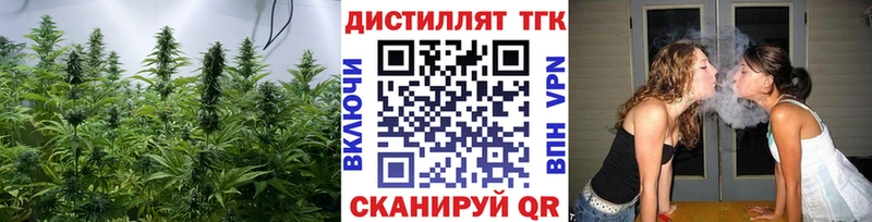 ТГК Wax  Светлоград 