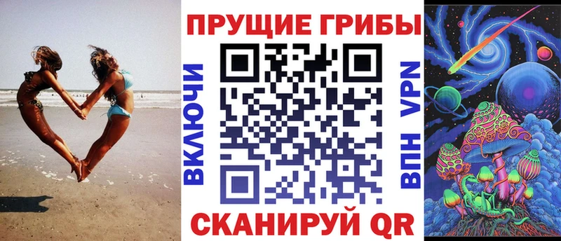 Псилоцибиновые грибы Psilocybine cubensis  купить наркоту  Светлоград 