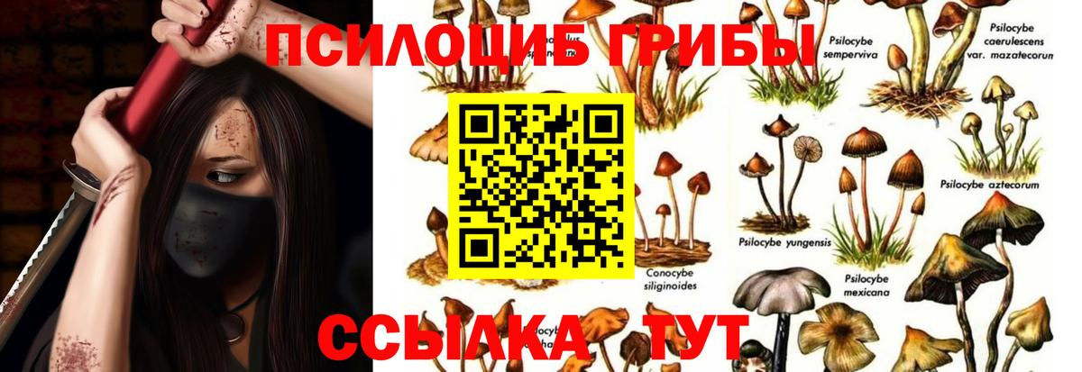 Светлоград  Галлюциногенные грибы Psilocybe  Вход с VPN 